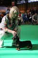 Crufts2010 671